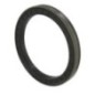 Dichtring - 000051867