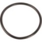 O-Ring - 000051450