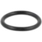 O-ring - 0002116021
