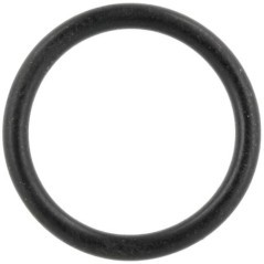 O-ring - 0002116021
