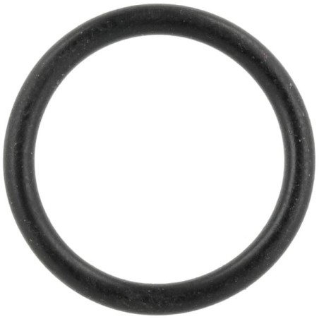O-ring - 0002116021