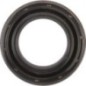 Ring - 000051816