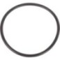 O-ring - 000051220