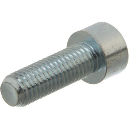Hexagon socket screw - 00253