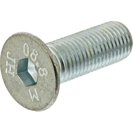 Screw M16x50 - 00370262