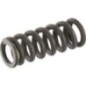 Spring 1.5x7x21.5 - 0070253