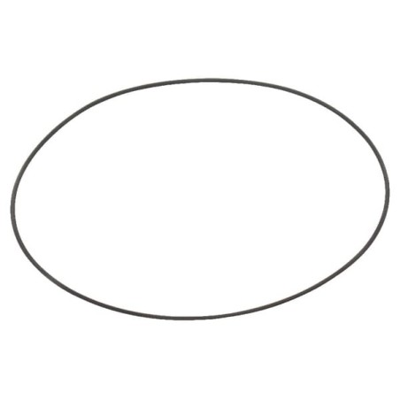 O-Ring/Filter-Dichtring Solo - 0062350