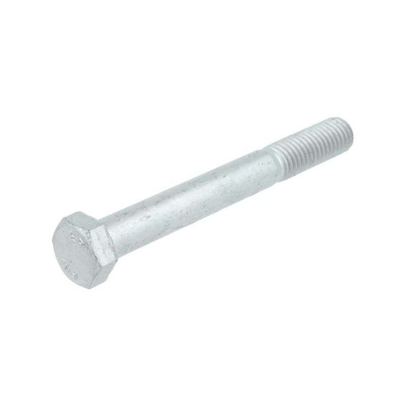 Hex head bold M12x100 - 009003670 Hex head bold M12x100 - 009003670