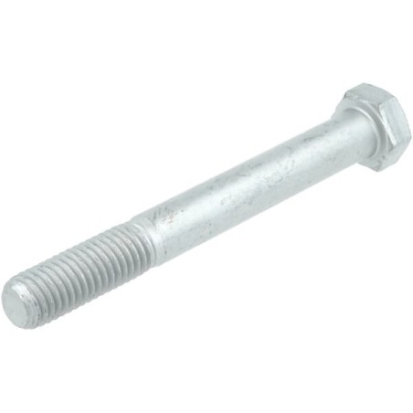 Hex head bold M12x100 - 009003670