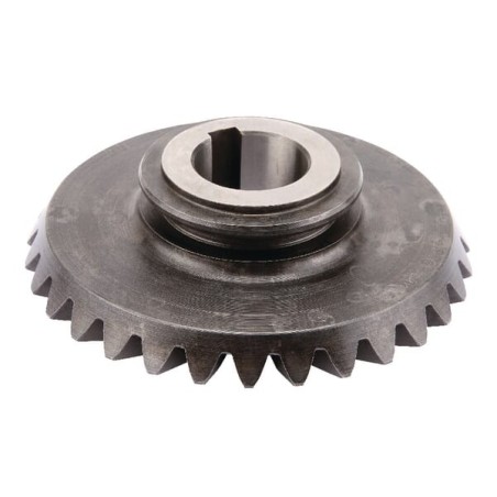 Kegelrad Z31 - 011096