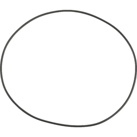 O-Ring 107,67 x 1,7 - 0207610