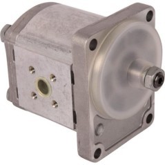 02030425 Goldoni, OE gear pumps 
