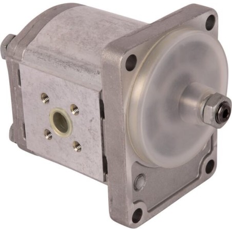 Hydraulic pump - 02030425