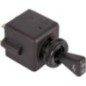 Indicator switch - 02050531