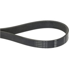 V-ribbed belt - 01183905