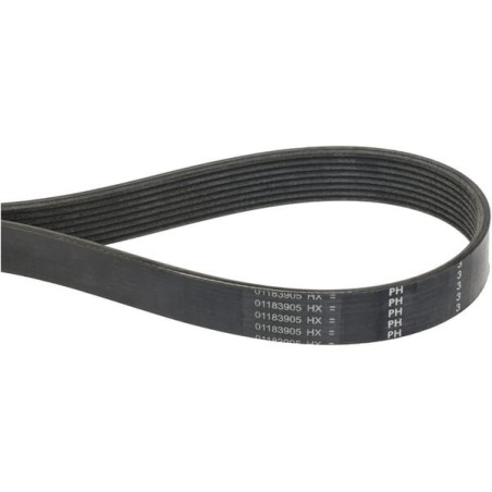 V-ribbed belt - 01183905