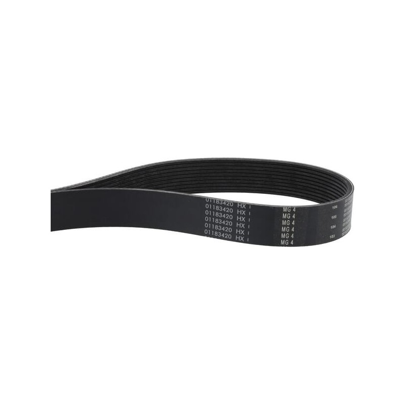 V-ribbed belt - 01183420 V-ribbed belt - 01183420