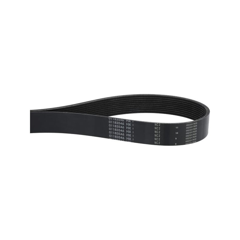 V-ribbed belt - 01183546 V-ribbed belt - 01183546