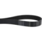 V-ribbed belt - 01183546 V-ribbed belt - 01183546