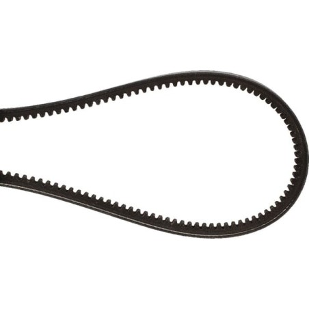V-belt - 01181076