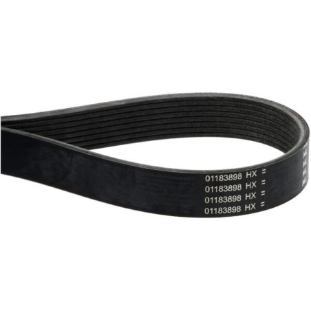 V-ribbed belt - 01183898