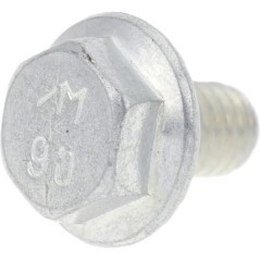 Self locking screw M6x10 - 0151610