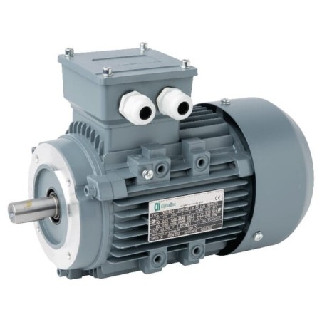 Electric motor 0,75 kW - 015602