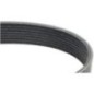 V-Belt - 01184118 V-Belt - 01184118