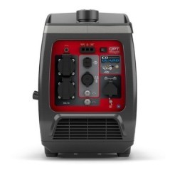 030800 Briggs & Stratton, Generatoren 