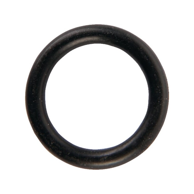 O-ring - 02200198