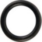 O-ring - 02200198