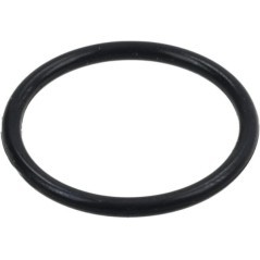 O-ring - 0289621018