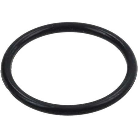 O-ring - 0289621018