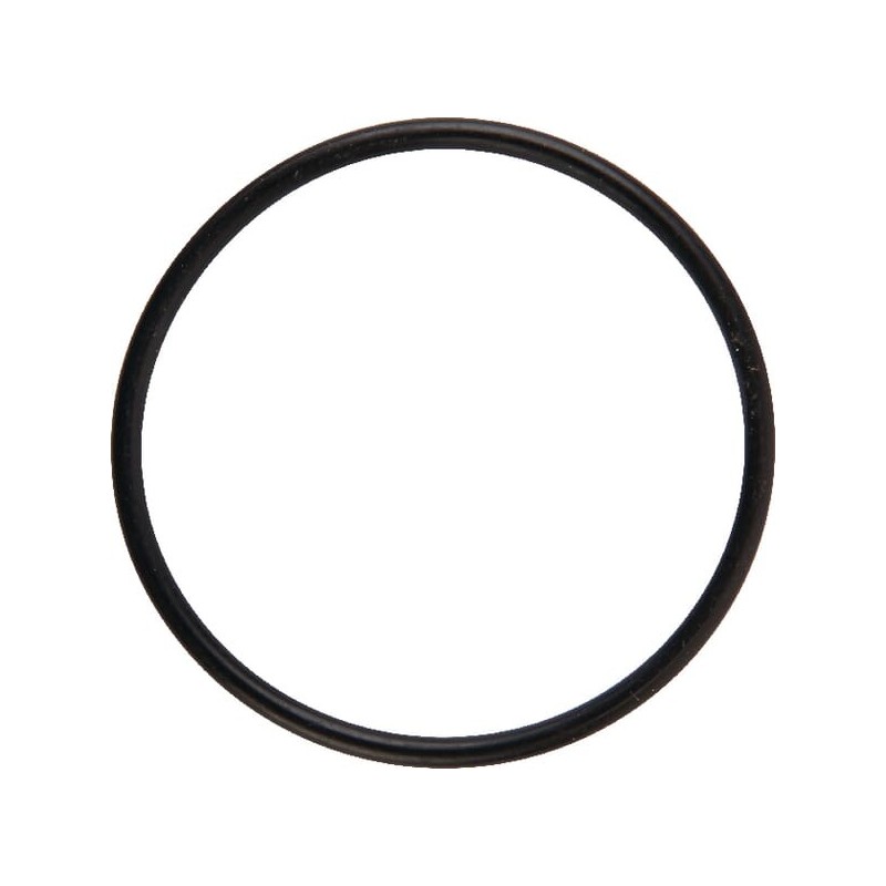 O-ring - 02200087