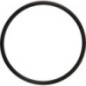 O-ring - 02200087