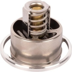 Termostat - 04911831