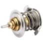 Thermostat - 04516486 Thermostat - 04516486