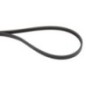 V-belt - 04452089 V-belt - 04452089