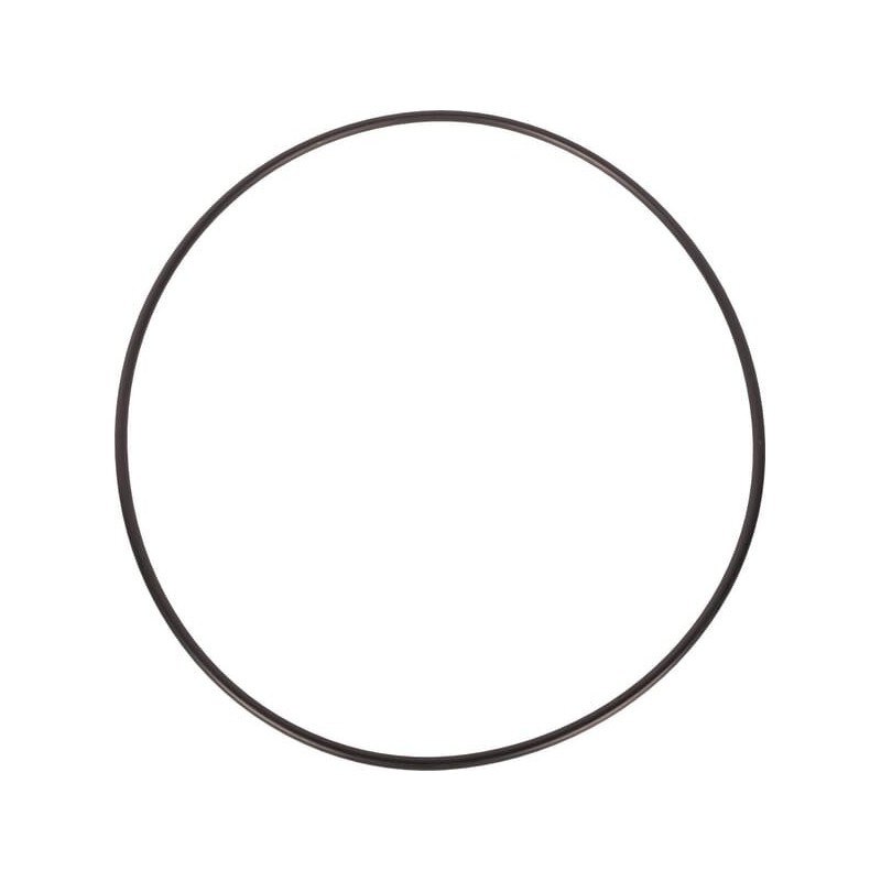 Lipped sealing ring - 0481152800 Lipped sealing ring - 0481152800