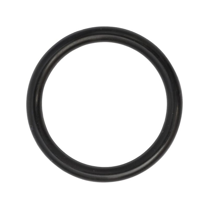 O-ring - 0481600200 O-ring - 0481600200