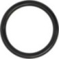O-ring - 0481600200 O-ring - 0481600200