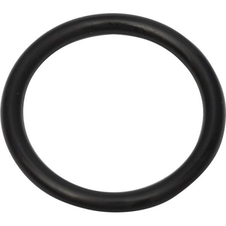 O-Ring - 0481600200
