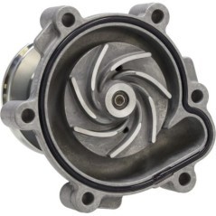 04300291 Deutz, Fuel Pumps 