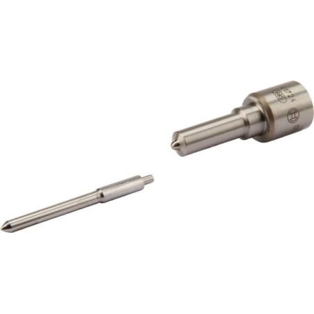 Injection nozzle DLLA 147P1229 - 0433171779