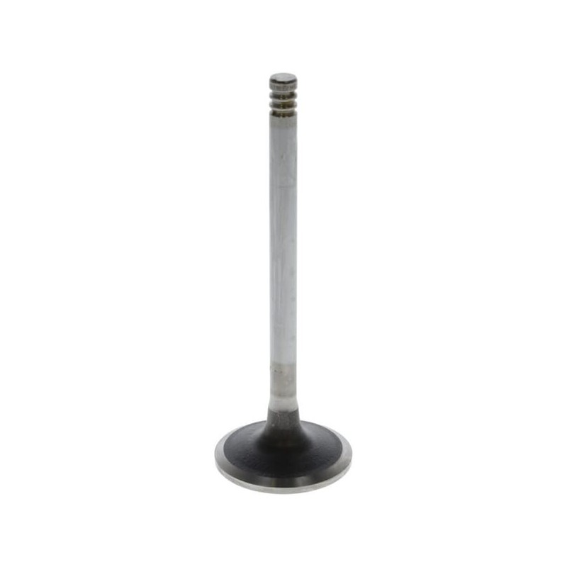 Inlet valve - 04284042