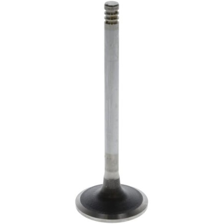 Inlet valve - 04284042