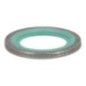 Dichtring - 04288204