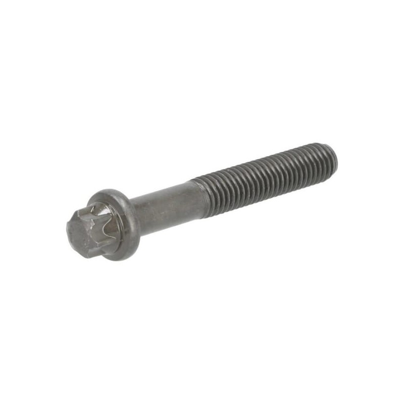 Torx head bolt - 04291334 Torx head bolt - 04291334