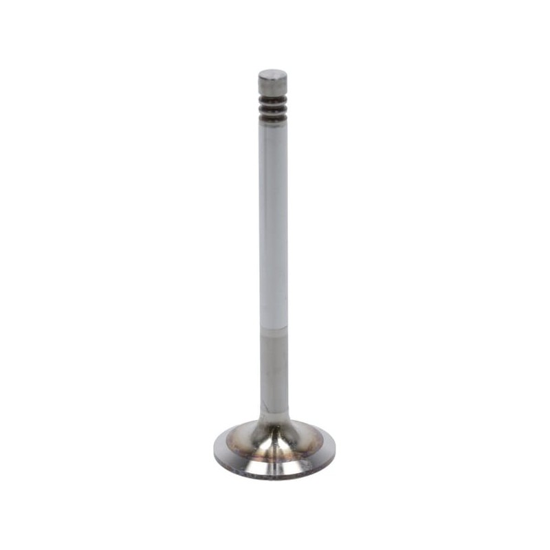 Inlet valve - 04283378