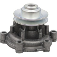 Coolant pump - 04300281